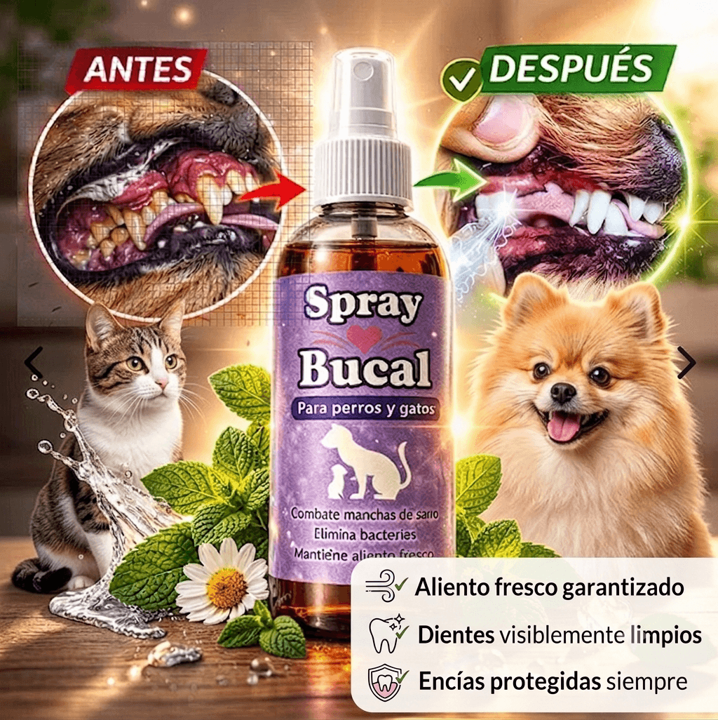 OralPet