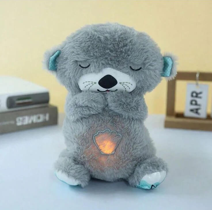 DreamOtter